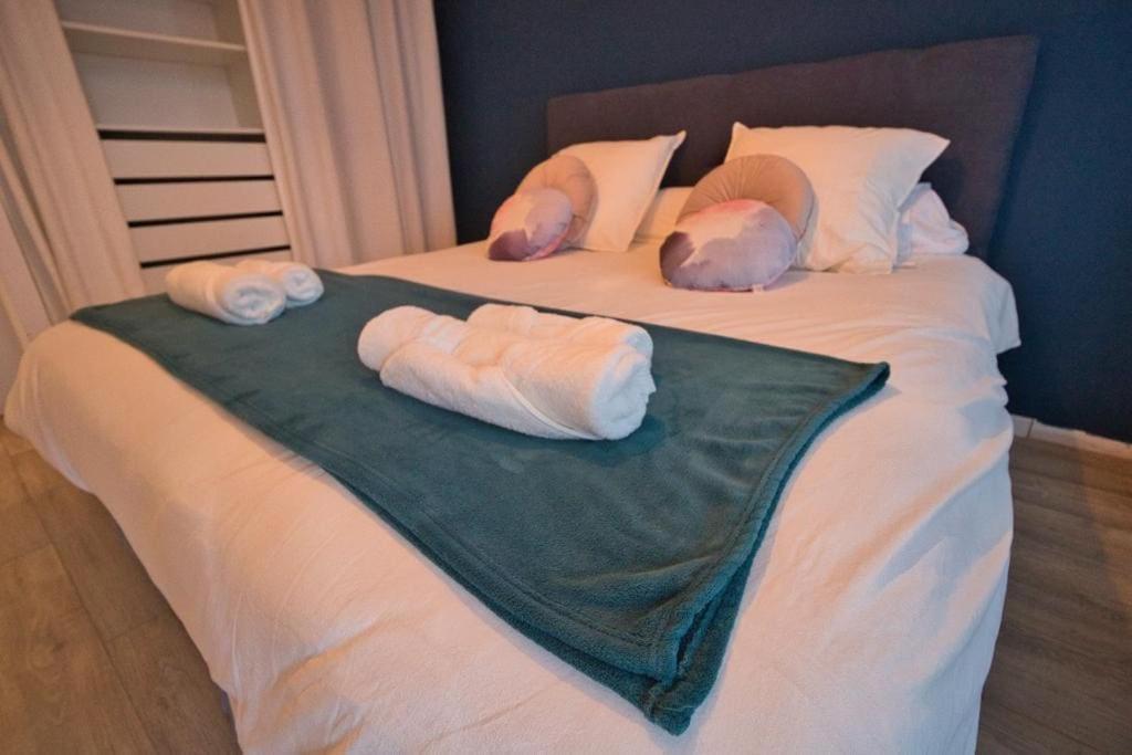 *Grand T3*Lumineux*Vue*Parking* Apartment Toulouse Ngoại thất bức ảnh